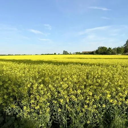 Strandnest Ludwigsburg * Loissin